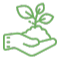 Tree Planting Icon
