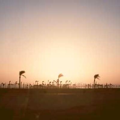Sample image 11