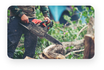 Tree removal equipment