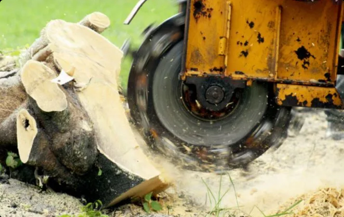 Expert stump grinding